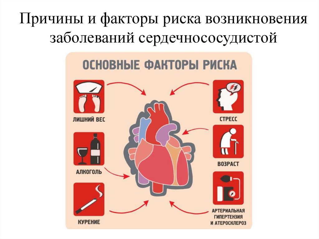 Лечение инфаркта миокарда в СПб больнице РАН на кардиологическом отделении, прием кардиолога спб
